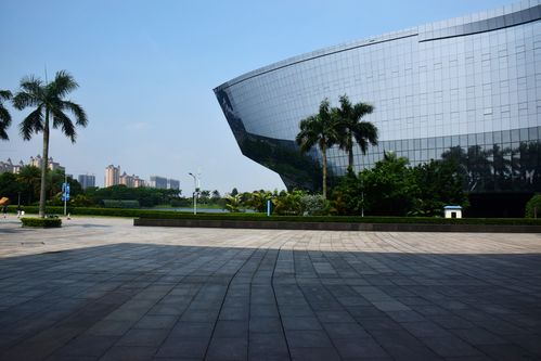 镜头之外 广东科技与太平洋摄影部落的数码时代